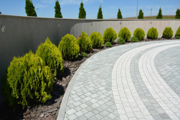 Best Interlocking Driveway Pavers  in Brentwood, MO